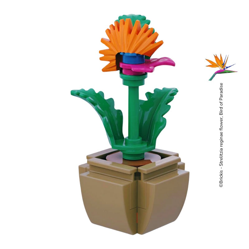 
                  
                    Mini Bird of Paradise flower displayed with other LEGO Botanix builds, part of a custom floral collection by Brickis
                  
                