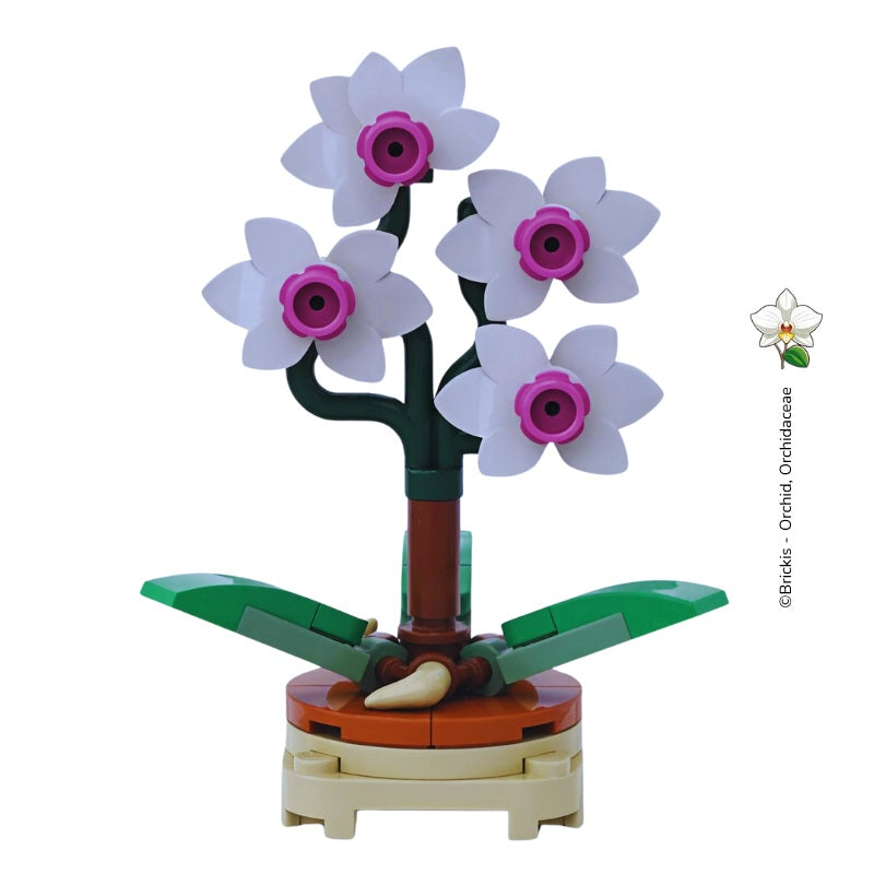 
                  
                    LEGO Mini Orchid displayed on a shelf or desk, offering calm, elegance, and a touch of floral charm to any space
                  
                
