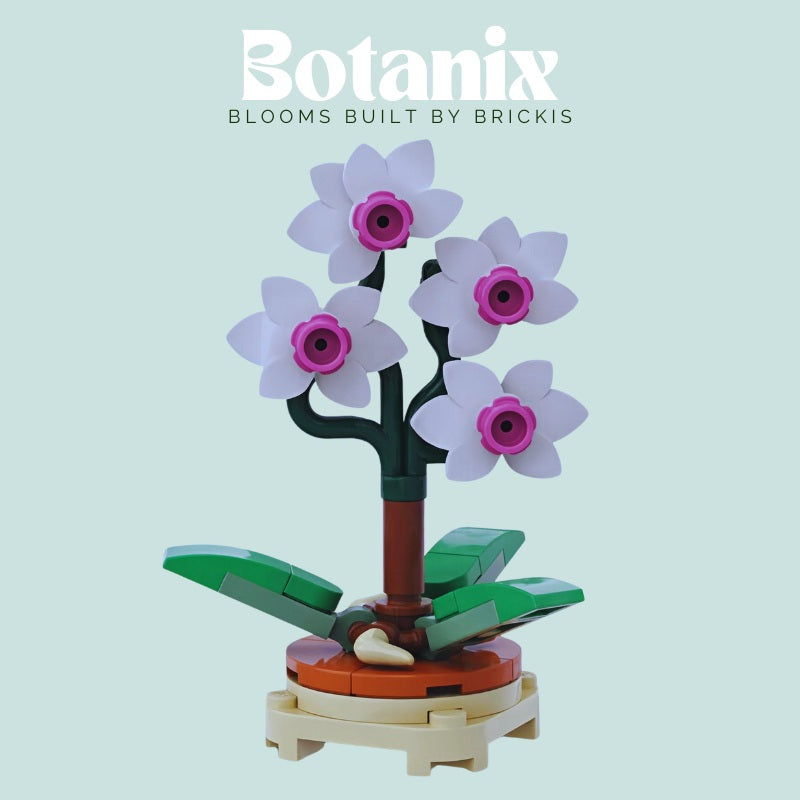 
                  
                    Custom LEGO orchid in soft colors, symbolizing new beginnings – perfect for gifting to flower lovers or collectors
                  
                